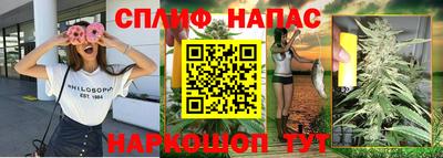 СК Гуково